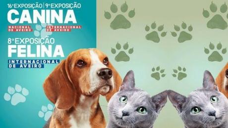 9ª Exposição Canina Internacional de Aveiro e a 8ª Exposição Felina Internacional de Aveiro