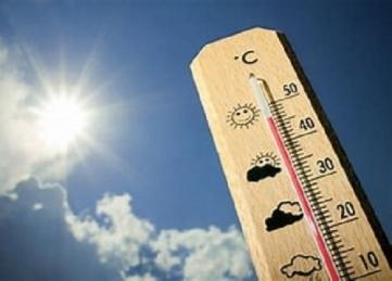 Nunca regue as plantas na hora de maior calor! Nunca regue as plantas na hora de maior calor!