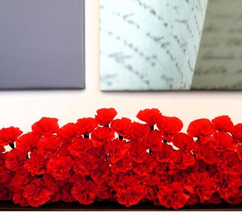 25 de abril com programa nos municipios da regiao de aveiro