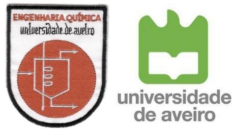 UA - Liliana Pereira - Queres ser a minha patroa? UA - Liliana Pereira - Queres ser a minha patroa?