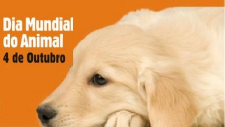 Dia Mundial do Animal e do Médico Veterinário