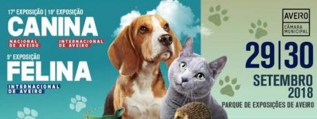Exposição Canina e Felina Internacional de Aveiro Exposição Canina e Felina Internacional de Aveiro