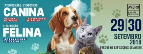 Exposição Canina e Felina Internacional de Aveiro 