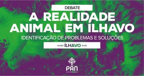 A Realidade Animal no Concelho de Ílhavo: Problemas e Soluções A Realidade Animal no Concelho de Ílhavo: Problemas e Soluções