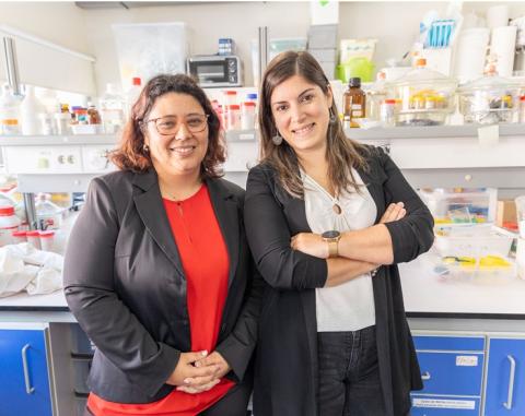 Universidade de Aveiro transforma borras de café em solução sustentável para proteger óleo alimentar.
