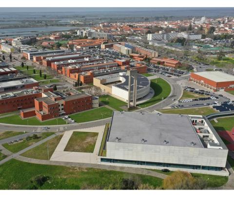 Dia da Universidade com entrega de diplomas e medalhas