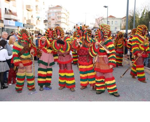 carnaval de oliveira do bairro regressa a 8 de fevereiro