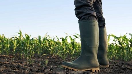 União dos Agricultores e Baldios do Distrito de Aveiro