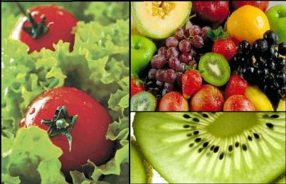 Dia Mundial da Alimentação Dia Mundial da Alimentação