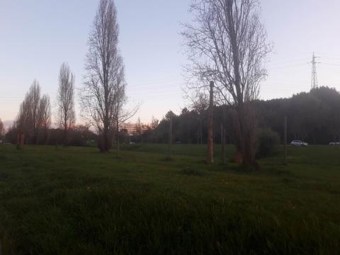 Aveiro apresenta projeto base de recuperação da bacia hidrográfica da Ribeira de Vilar.