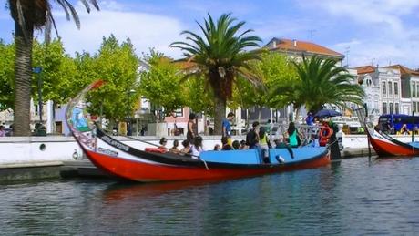 Turismo in Aveiro - João Quintaneiro