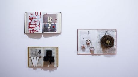 Hugo Branco - VIC // Aveiro Arts House Hugo Branco - VIC // Aveiro Arts House