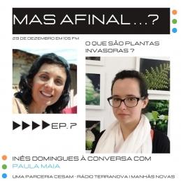 CESAM - “Mas afinal…” Ep.07 Paula Maia CESAM - “Mas afinal…” Ep.07 Paula Maia