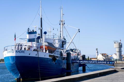 Porto de Encontro na Terra Nova...