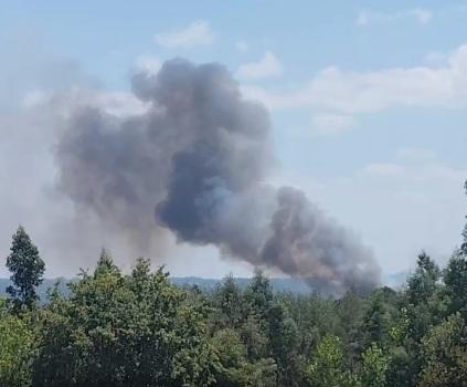 bombeiros controlam incendio em mamodeiro