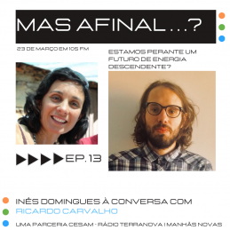 CESAM - “Mas afinal…” Ep.13 Ricardo Carvalho CESAM - “Mas afinal…” Ep.13 Ricardo Carvalho