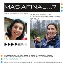 CESAM - “Mas afinal…” Ep.11 Rute Costa