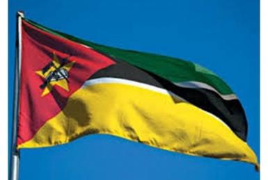 África…Terra Nova - XI África…Terra Nova - XI