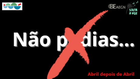 Não podias … discordar