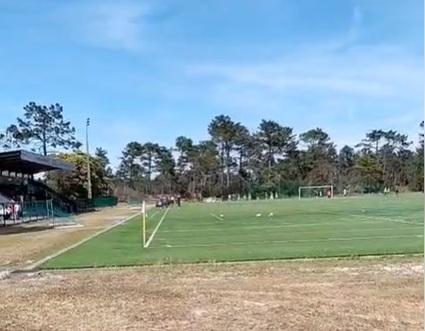 nege e gafanha empatam