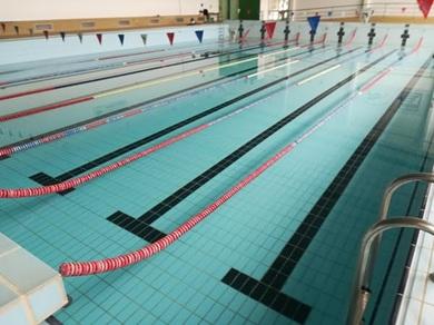  Sporting de Aveiro recebem, este domingo, o Torneio Cidade de Aveiro em natação adaptada.