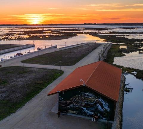 estacao nautica de estarreja promove atividades inclusivas