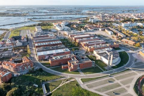 Universidade de Aveiro recebe concurso regional de ideias de negócio.