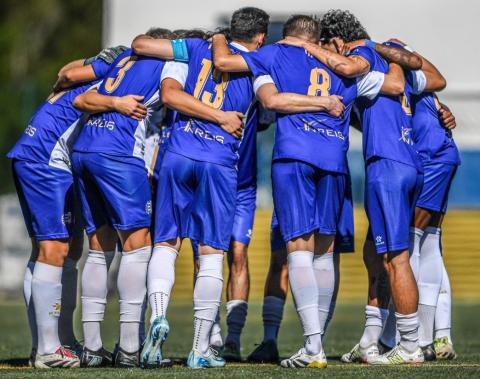 vista alegre desloca-se à pampilhosa