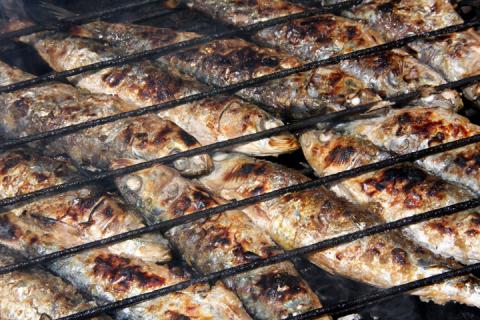 Sardinhada dos Santos Populares marcada para sábado na Vera-Cruz.