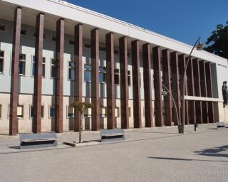 Movimento feminista exige combate à violência doméstica na Região de Aveiro.