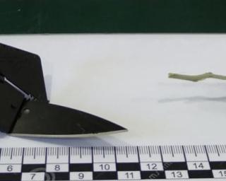 GNR de Santa Maria da Feira: Detido por posse de arma proibida.