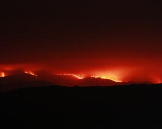 Mais de 50 Concelhos de sete Distritos em perigo máximo de incêndio. Aveiro em 'risco elevado'.