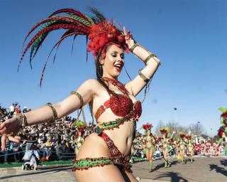 Carnaval de Estarreja regressa em 2022.
