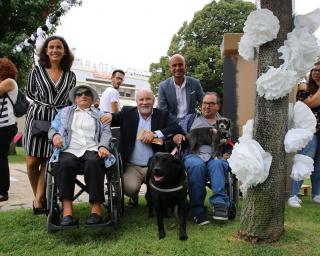 Festival 'Cabelos Brancos' anima Ílhavo.