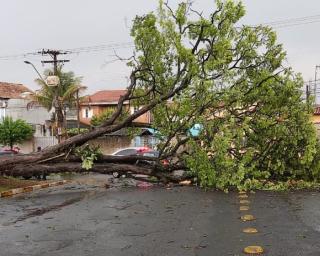 Mar muito perigoso e vento até 85 km/hora este fim-de-semana.