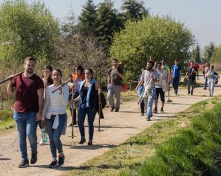 Estarreja associa-se ao Projeto 'Plantar o Futuro' e chegará às 4 mil árvores.