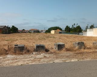 Município de Ílhavo inicia hoje um ciclo de sessões públicas de esclarecimento sobre o Regulamento Municipal de Vegetação no Interior de Áreas Edificadas.
