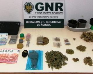 Homem detido pela GNR por tráfico de droga.