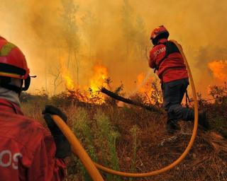 Activadas mais 100 equipas de combate a incêndios (nos próximos dias) devido ao aumento da temperatura máxima. Aveiro 'fora da Lista'.