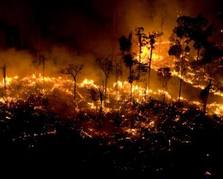 Fim-de-semana com risco máximo de incêndio florestal na região de Aveiro.