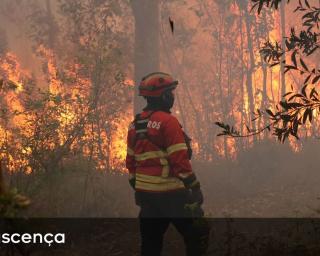 Fogo activo em Pessegueiro do Vouga.