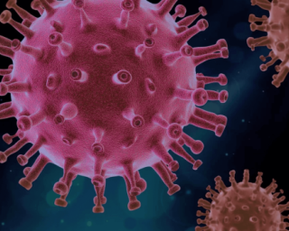 Pandemia: Mais 67 mortos e 5444 casos de Covid-19 em Portugal, maioria a Norte.