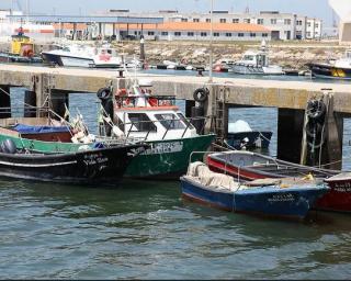 Gafanha da Nazaré: Peixe com preço em baixa na Lota devido à quebra no mercado Espanhol.