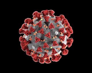 Pandemia: Nove Concelhos com mais de dois mil casos por 100 mil habitantes.