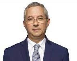 Câmara de Ovar questiona Secretário de Estado sobre suspensão do corte de árvores no perímetro florestal.