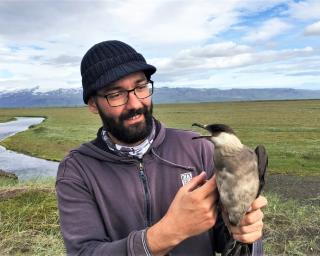 UA: Animais no ártico alteram comportamentos em resposta às alterações climáticas.