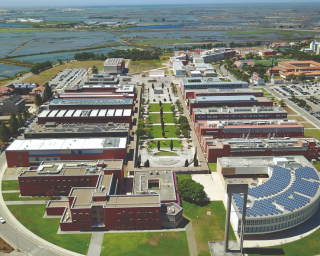 Finalistas da Escola Superior de Saúde da Universidade de Aveiro proclamam 'compromisso de competência'.