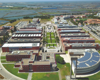 Covid-19: Universidade de Aveiro lança linha UAescuta.