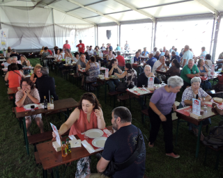 Festa da Sardinha regressa ao relvado da Costa Nova.