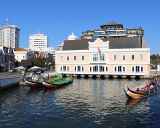 Exposição 'Avenida. Uma história com futuro' é inaugurada na sexta-feira em Aveiro.